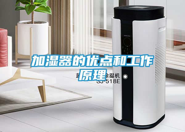 加湿器的优点和工作原理