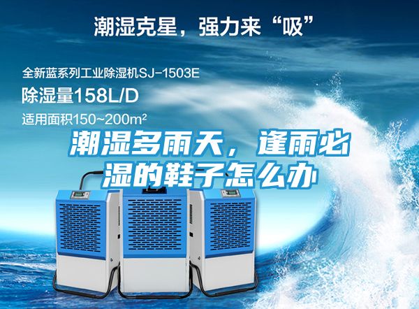 潮湿多雨天，逢雨必湿的鞋子怎么办