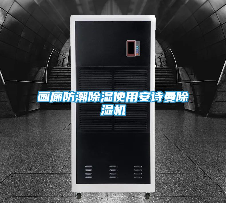 画廊防潮除湿使用安诗曼除湿机