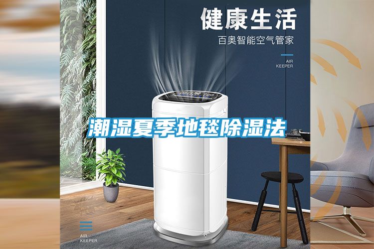 潮湿夏季地毯除湿法