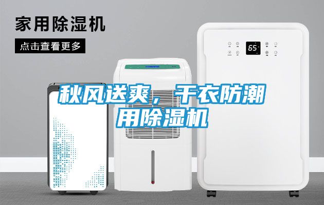 秋风送爽,干衣防潮用除湿机