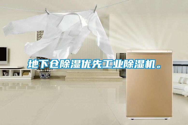 地下仓除湿优先工业除湿机。