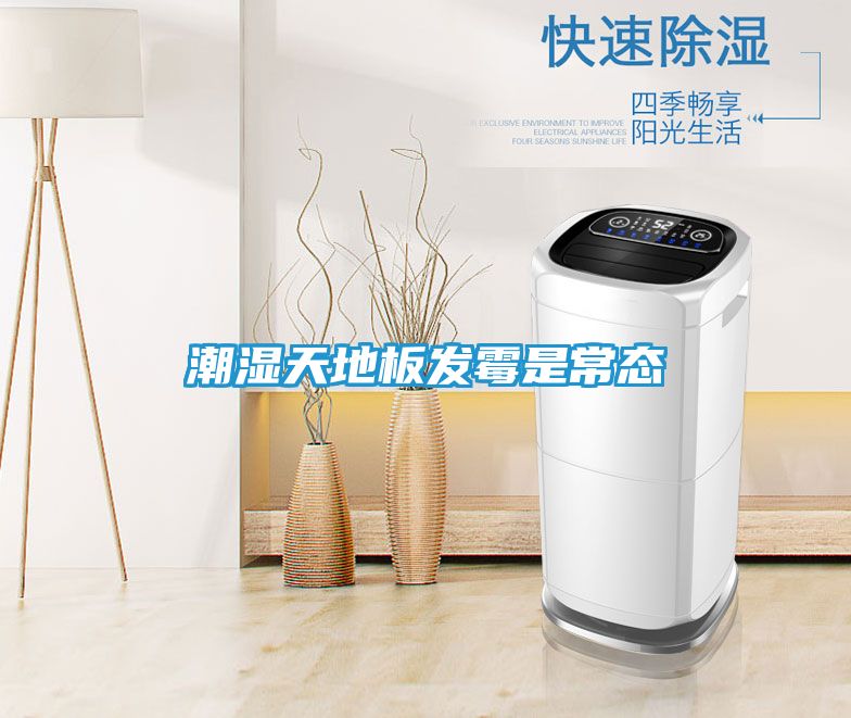 潮湿天地板发霉是常态