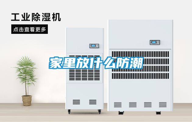 家里放什么防潮