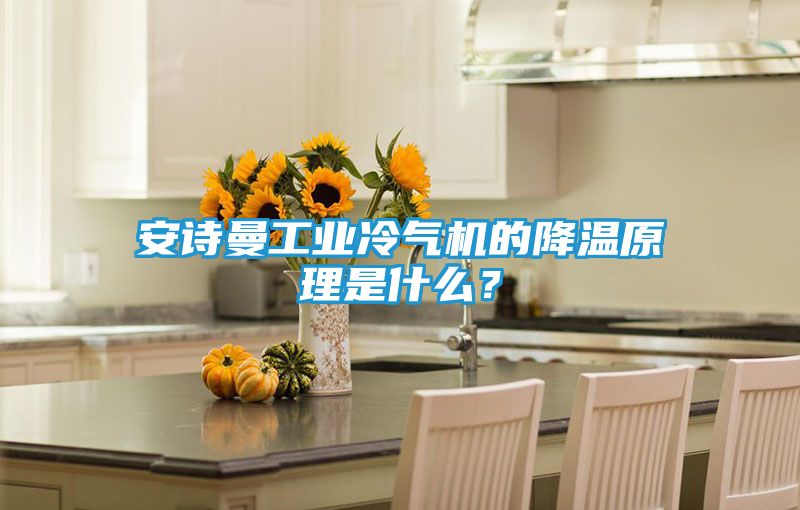 安诗曼工业冷气机的降温原理是什么？