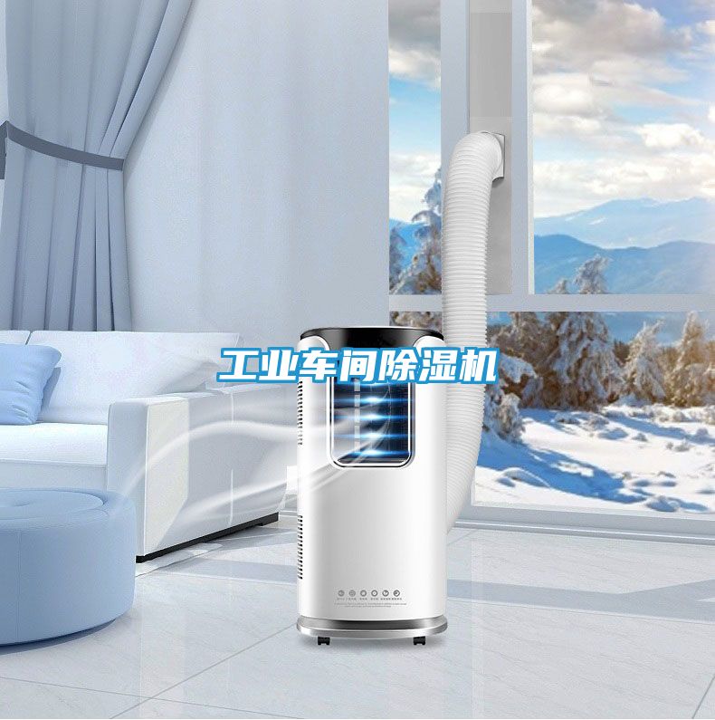 工业车间除湿机