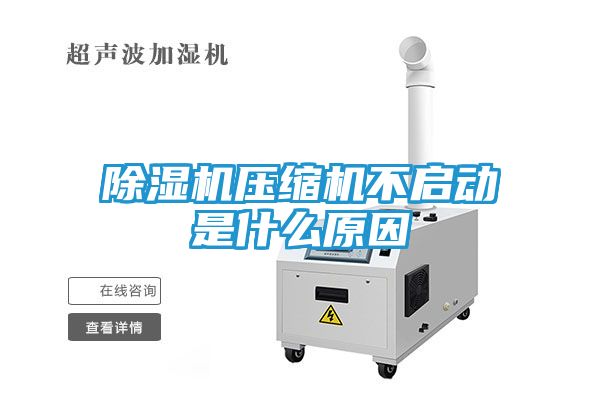 除湿机压缩机不启动是什么原因