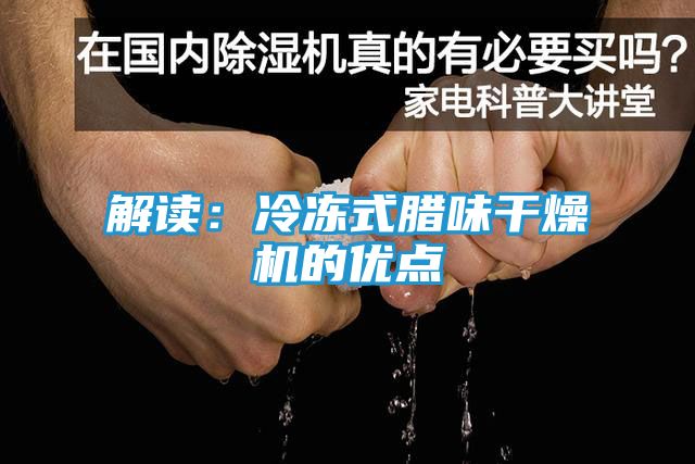 解读：冷冻式腊味干燥机的优点