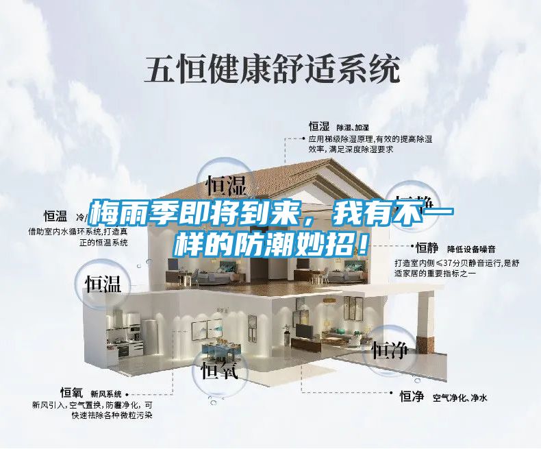 梅雨季即将到来，我有不一样的防潮妙招！