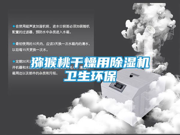 猕猴桃干燥用除湿机卫生环保