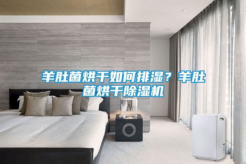 羊肚菌烘干如何排湿？羊肚菌烘干除湿机