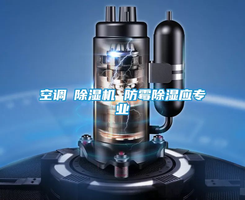 空调≠除湿机 防霉除湿应专业