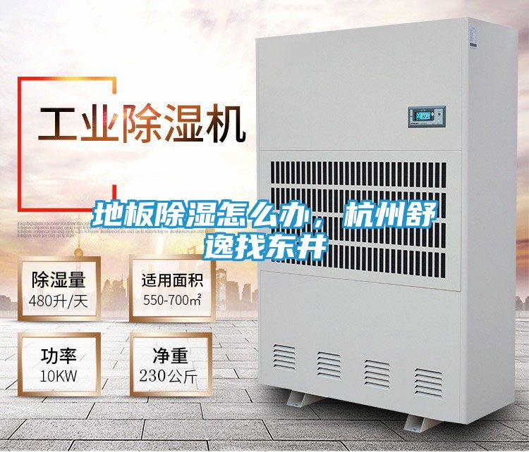 地板除湿怎么办，杭州舒逸找东井