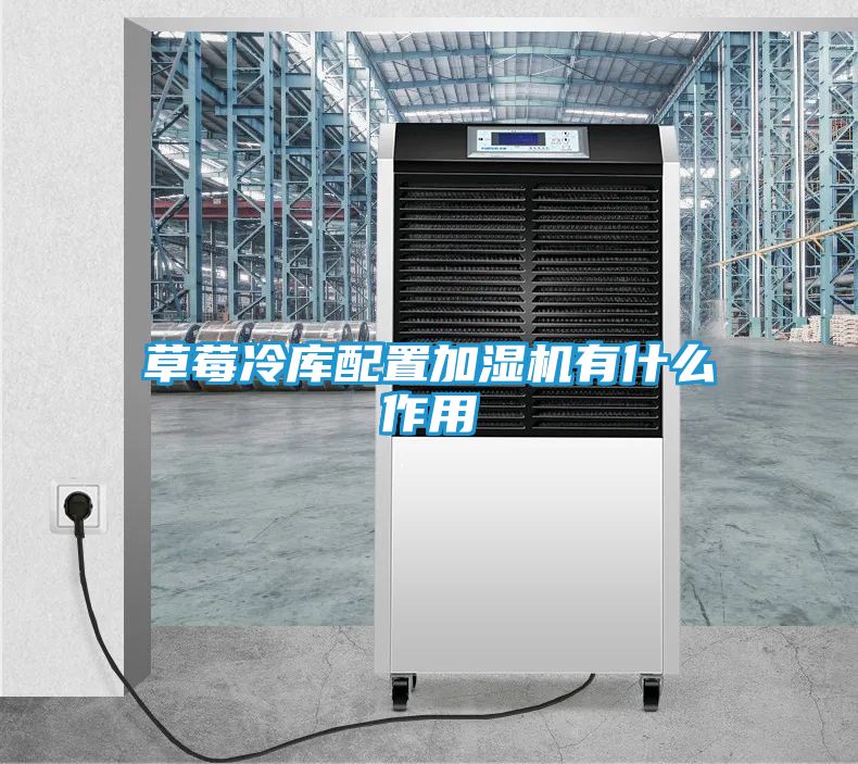草莓冷库配置加湿机有什么作用