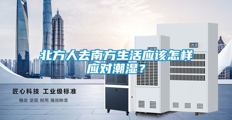 北方人去南方生活应该怎样应对潮湿？