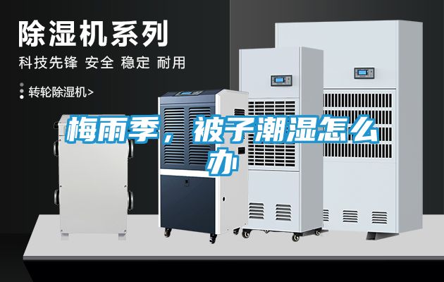 梅雨季，被子潮湿怎么办