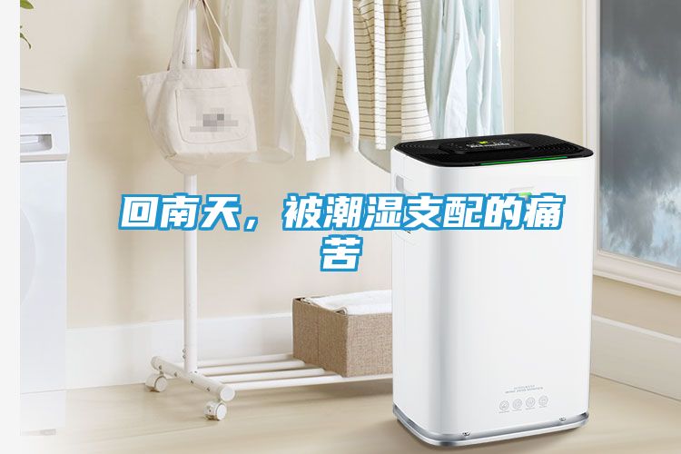 回南天，被潮湿支配的痛苦