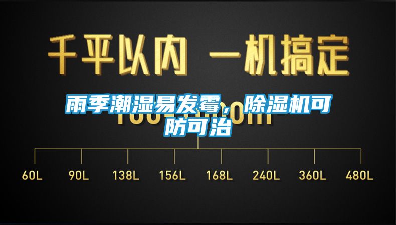 雨季潮湿易发霉，除湿机可防可治