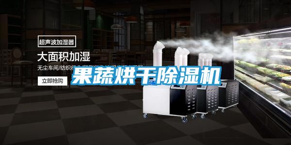 果蔬烘干除湿机