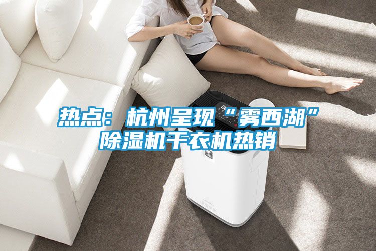热点：杭州呈现“雾西湖”除湿机干衣机热销