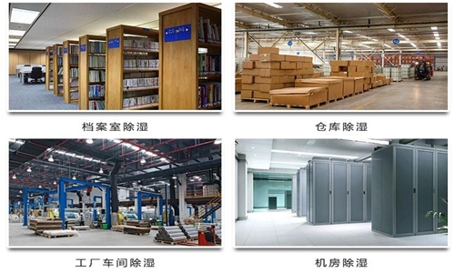 果蔬烘干除湿机,烘干果蔬不再看“天色”