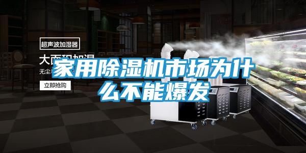 家用除湿机市场为什么不能爆发