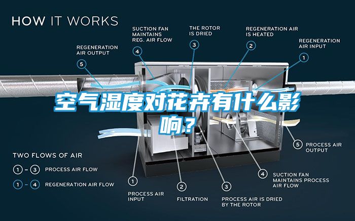 空气湿度对花卉有什么影响？