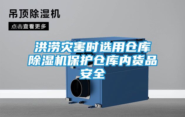 洪涝灾害时选用仓库除湿机保护仓库内货品安全