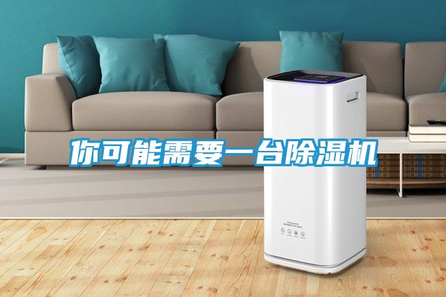 你可能需要一台除湿机