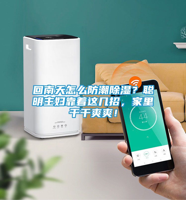 回南天怎么防潮除湿？聪明主妇靠着这几招，家里干干爽爽！