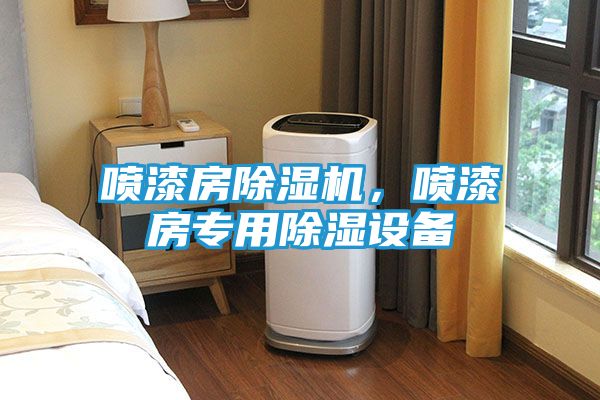 喷漆房除湿机，喷漆房专用除湿设备