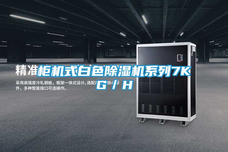 柜机式白色除湿机系列7KG／H