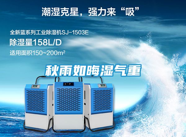 秋雨如晦湿气重