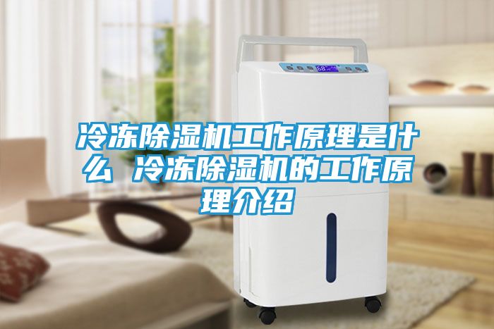 冷冻除湿机工作原理是什么 冷冻除湿机的工作原理介绍