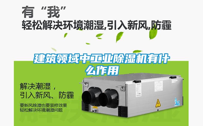 建筑领域中工业除湿机有什么作用