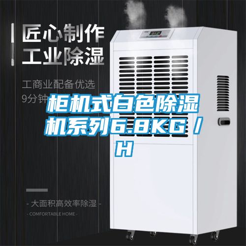 柜机式白色除湿机系列6.8KG／H