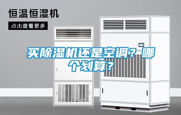 买除湿机还是空调？哪个划算？