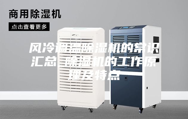 风冷调温除湿机的常识汇总_除湿机的工作原理及特点