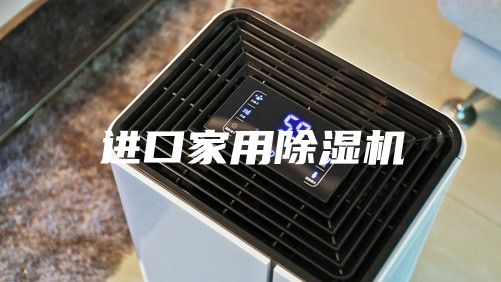 进口家用除湿机