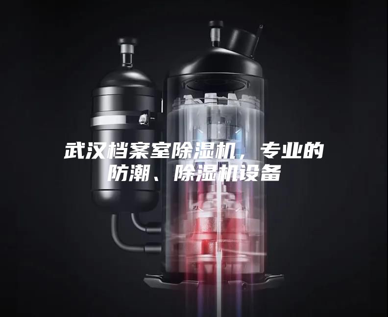 武汉档案室除湿机，专业的防潮、除湿机设备