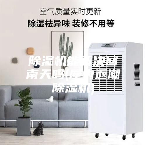 除湿机能解决回南天吗(屋内返潮除湿机)