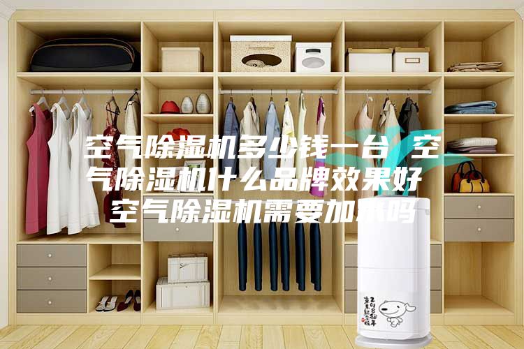 空气除湿机多少钱一台 空气除湿机什么品牌效果好 空气除湿机需要加水吗