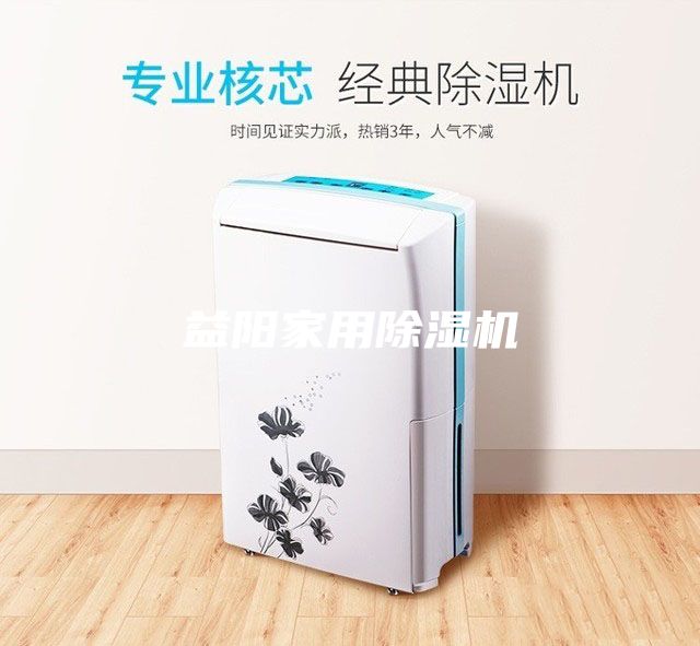 益阳家用除湿机