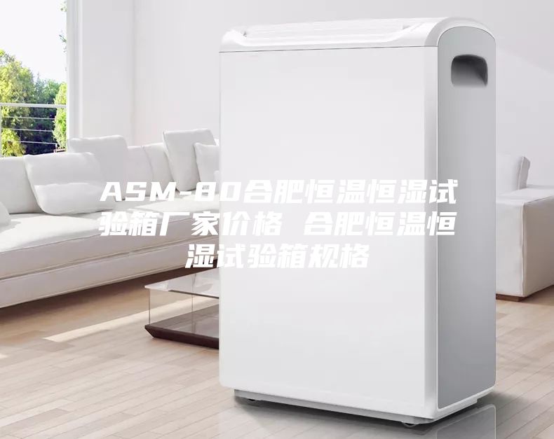 ASM-80合肥恒温恒湿试验箱厂家价格 合肥恒温恒湿试验箱规格