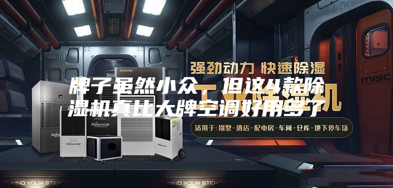 牌子虽然小众，但这4款除湿机真比大牌空调好用多了