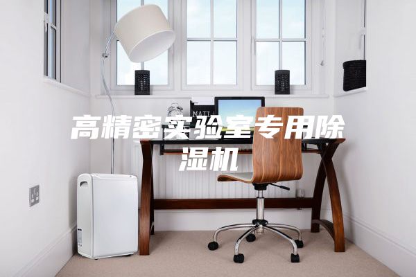 高精密实验室专用除湿机