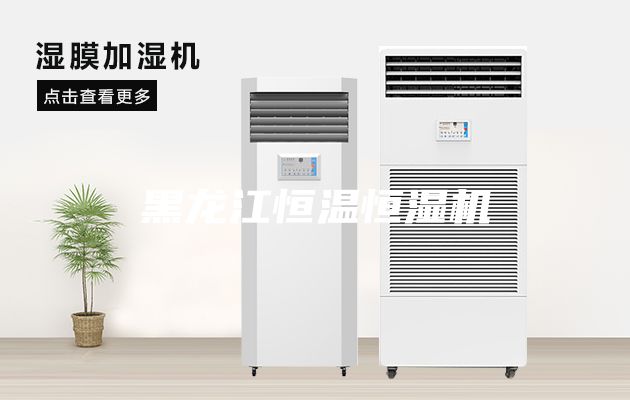 黑龙江恒温恒湿机