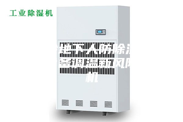 风冷地下人防除湿工程设备调温新风除湿机