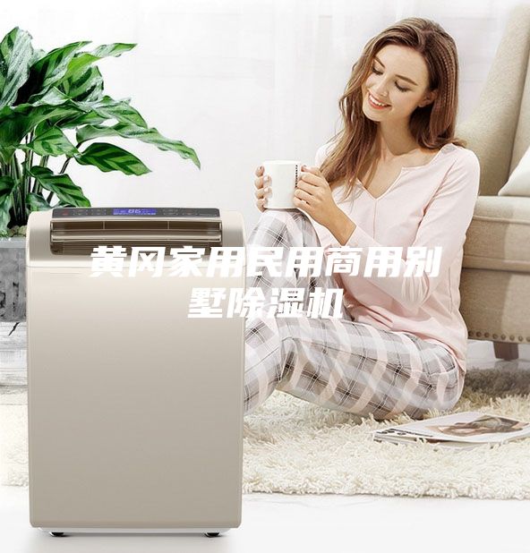 黄冈家用民用商用别墅除湿机