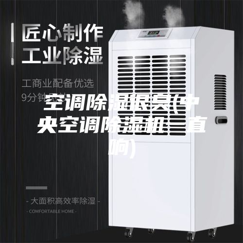 空调除湿很臭(中央空调除湿机一直响)